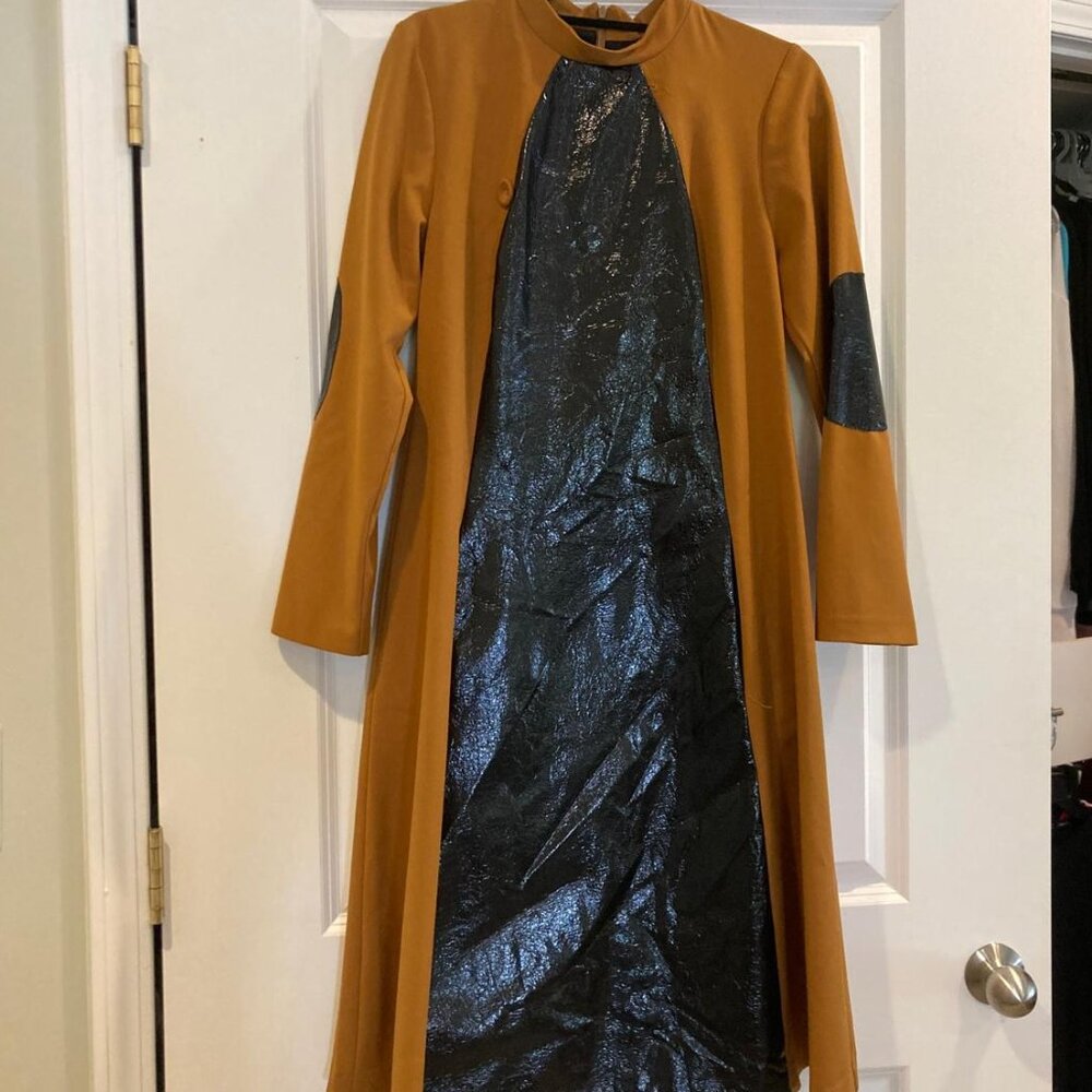 Celina's Dress